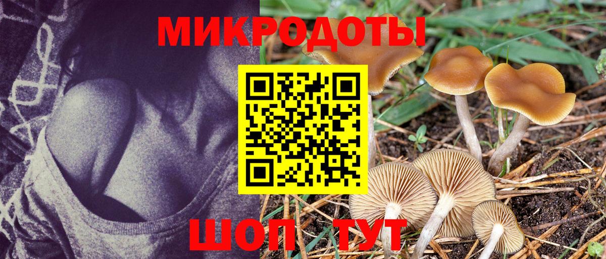 Красный Сулин  Псилоцибиновые грибы GOLDEN TEACHER  Вход с VPN 